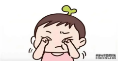 大路灯不是越贵越好！7 款热门型号对比，学龄家长参考